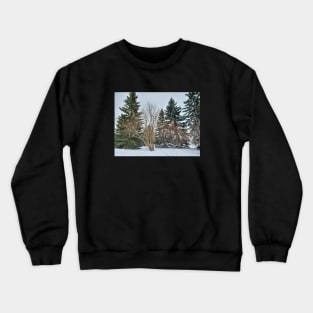 Alberta Winter 03 Crewneck Sweatshirt